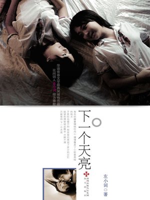 cover image of 下一个天亮 (The Next Dawn)